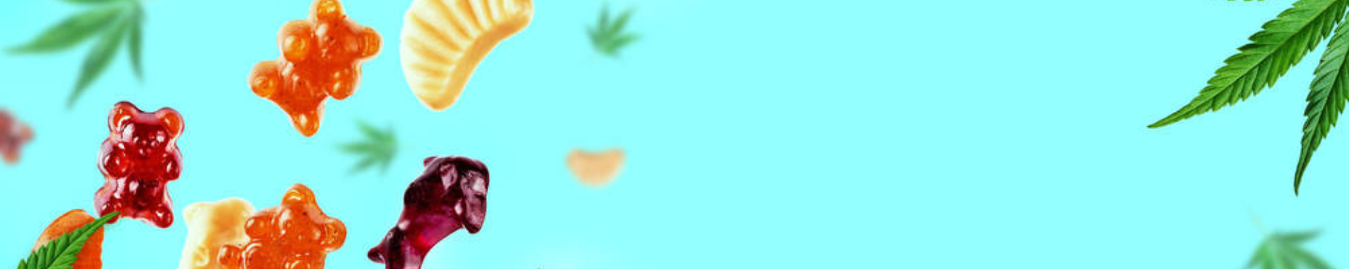 軟糖