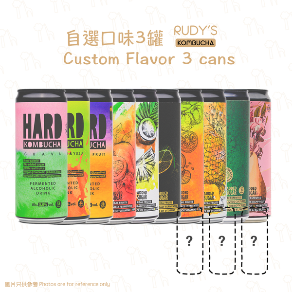 【Naturally Fermented】Rudy's Kombucha - Custom Flavor Tasting Set (@330ml)